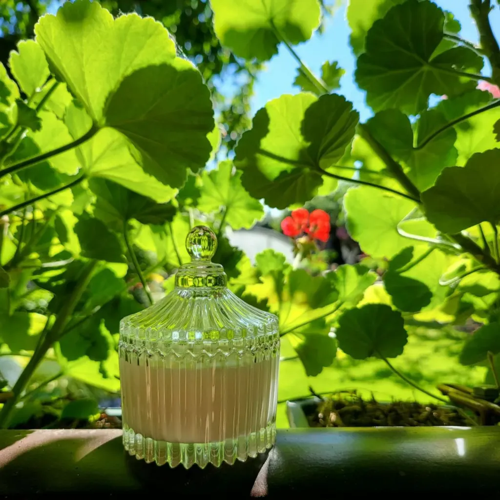 Summer geranium